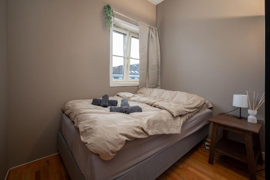 Studio Apt In City Centre Trondheim Eksteriør billede